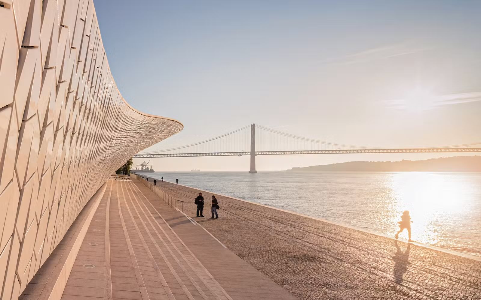 Exposição 'Matéria Viva' no MAAT